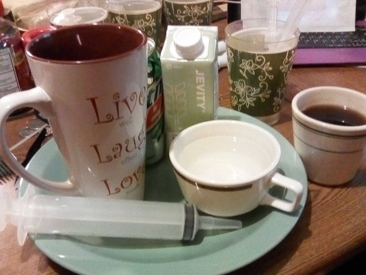 plate, with a 60 ml bolus syringe, large coffee mug that say "live laugh love" a box of Jevity feeding tube, a coffee mug of flushing water, and a cup of coffee.