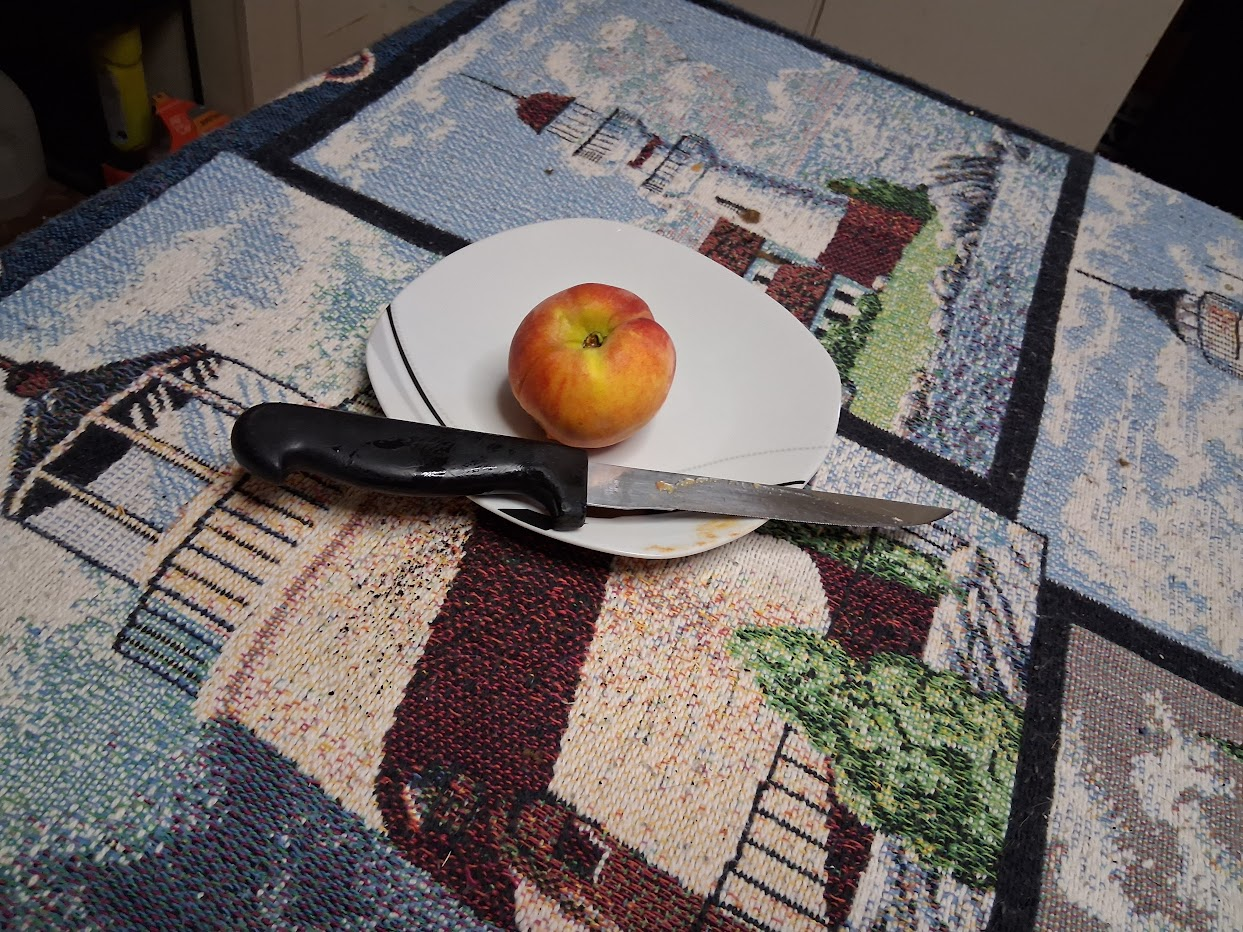 peach on a plate with a knife with "peach juice"