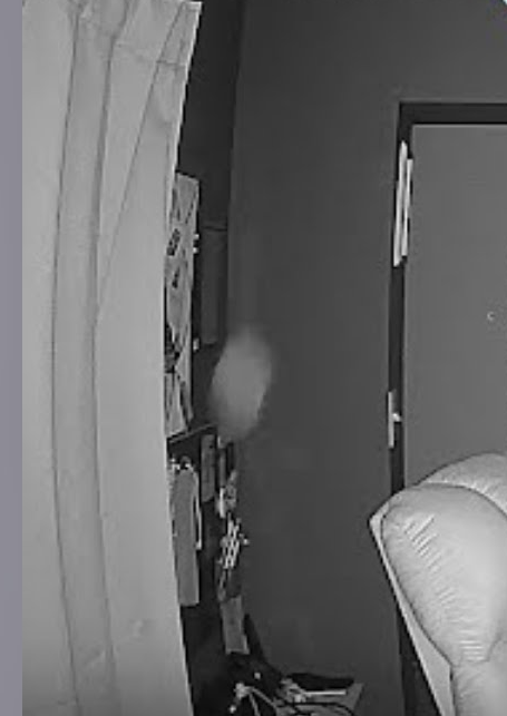 black and white security photo of a house